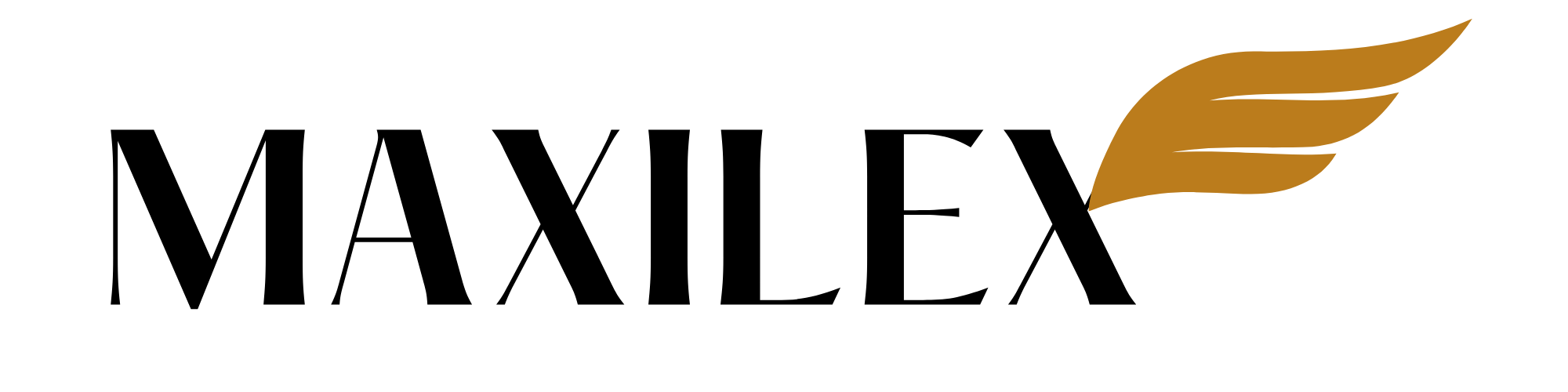11Maxilex Logo